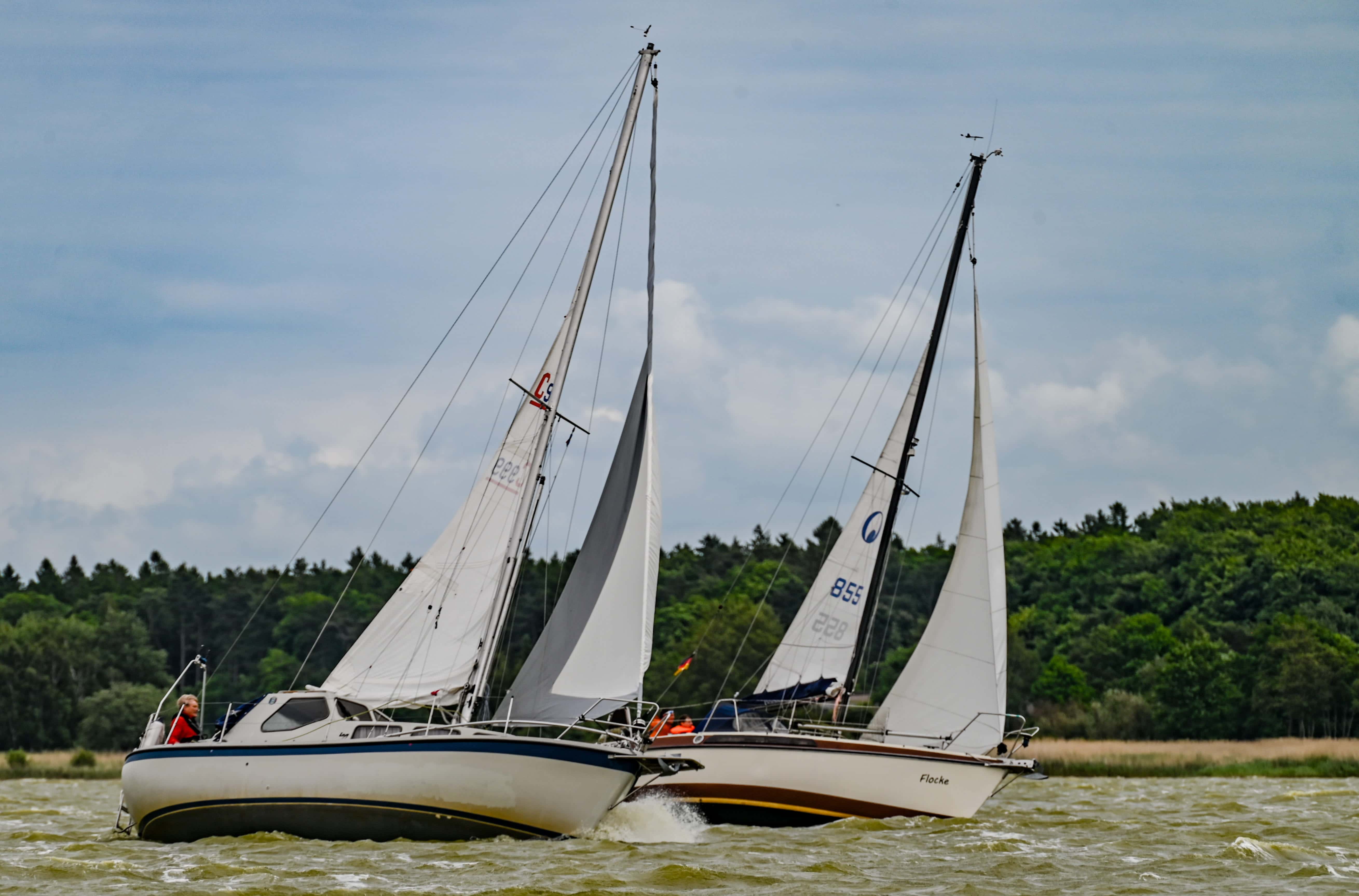 Frühjarsregatta_6.jpg